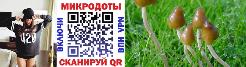 продажа наркотиков Полярный Галлюциногенные грибы Psilocybine cubensis